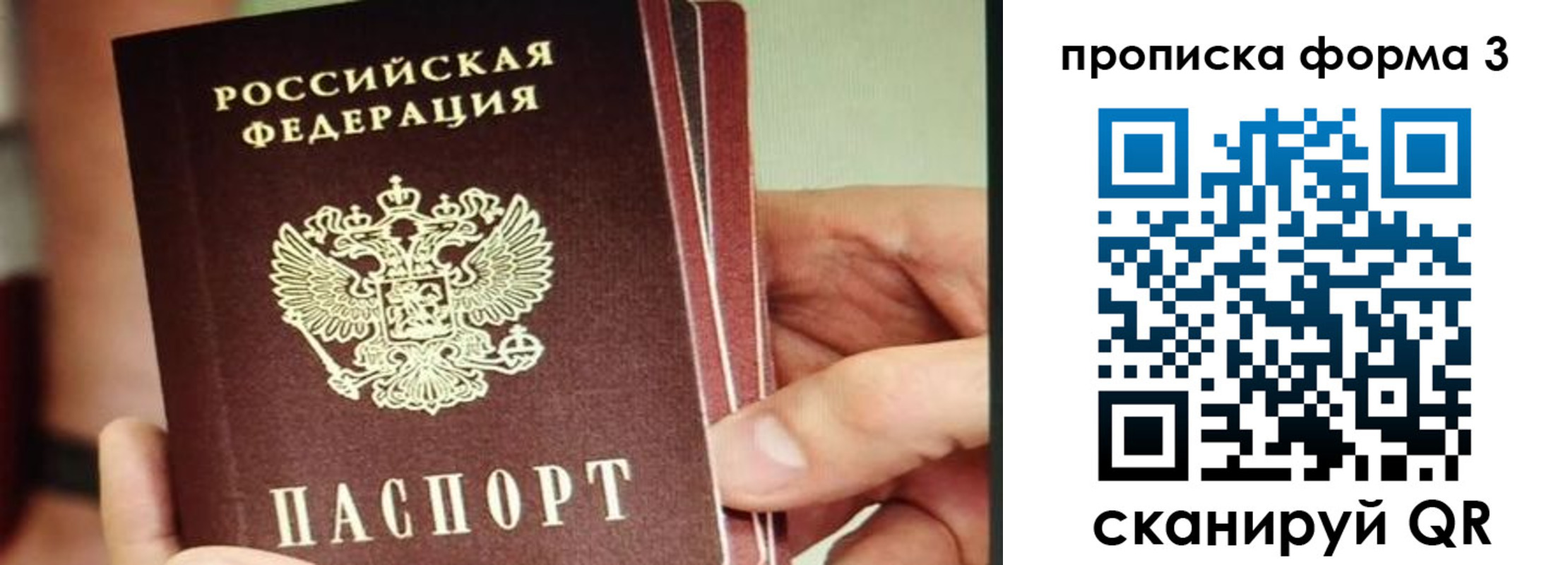 прописка законно в Гулькевичах